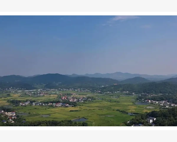 大暑养生常识